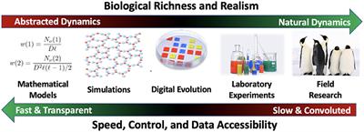 Digital Evolution for Ecology Research: A Review